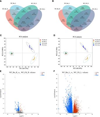 Transcriptome-based analysis of the effects of compound microbial agents on gene expression in wheat roots and leaves under salt stress